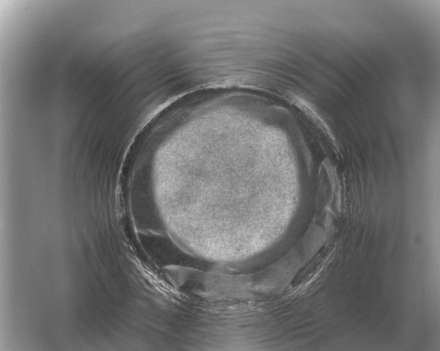 X0000064770876200602241950