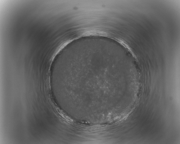 X0000064770877200602241950