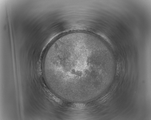 X0000064770878200602241950