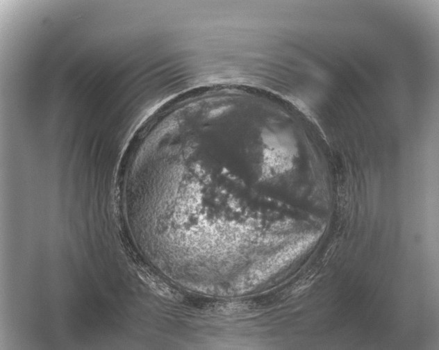 X0000064770879200602241949