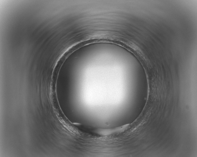 X0000064770880200602241949