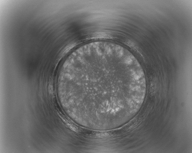 X0000064770882200602241949