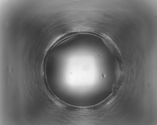 X0000064770885200602241949