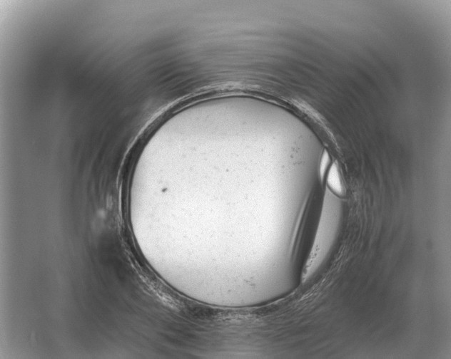 X0000064770886200602241949