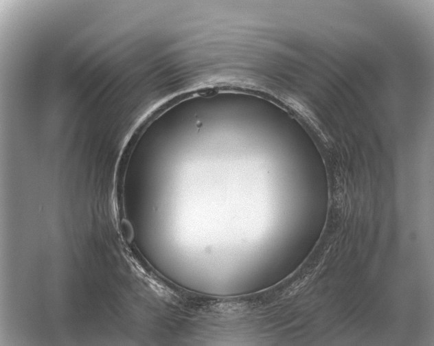 X0000064770888200602241949