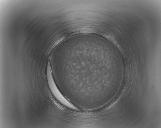 X0000064770889200602241949