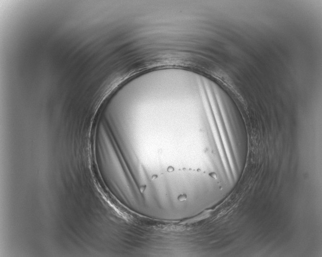 X0000064770890200602241949