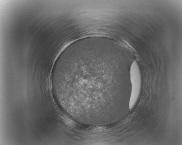 X0000064770891200602241949