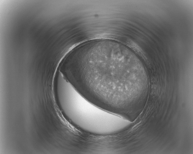 X0000064770892200602241949