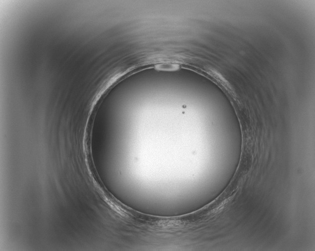 X0000064770893200602241949