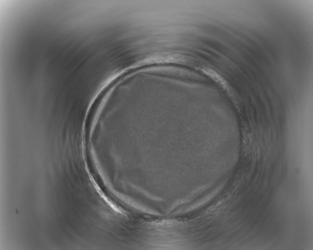 X0000064770894200602241949