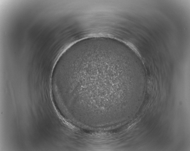 X0000064770895200602241949