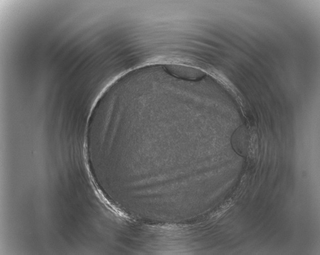 X0000064770896200602241949