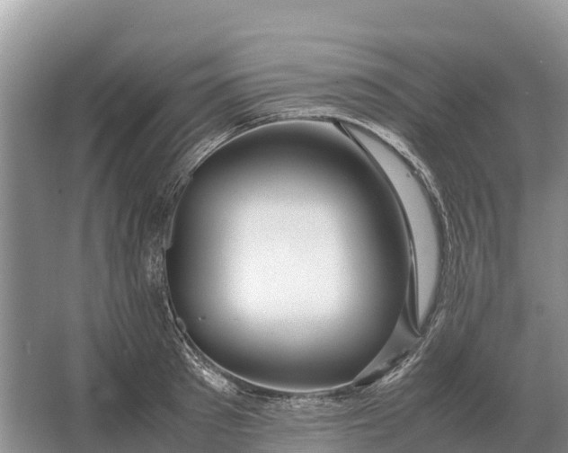 X0000064770897200602241949