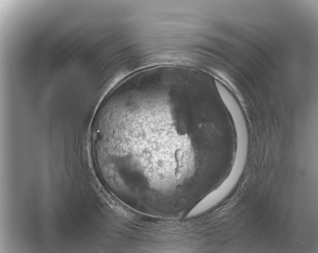 X0000064770899200602241949