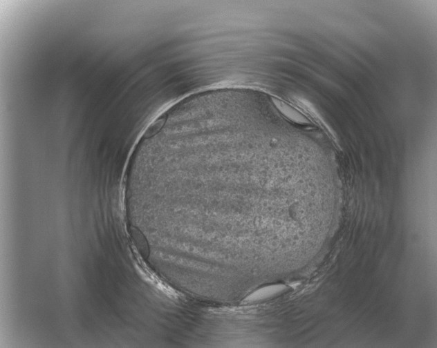 X0000064770900200602241949