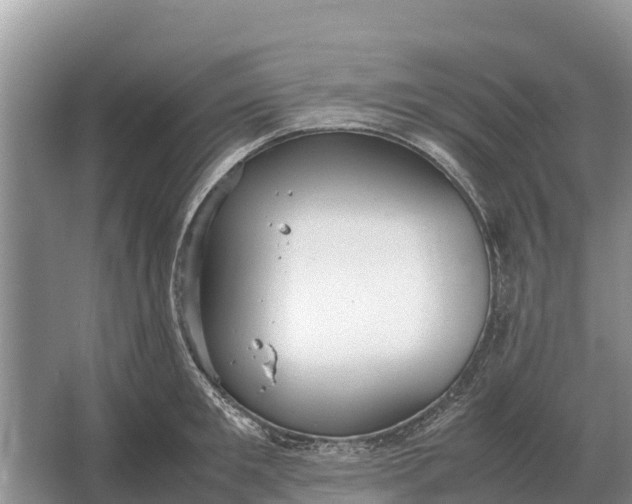 X0000064770901200602241949