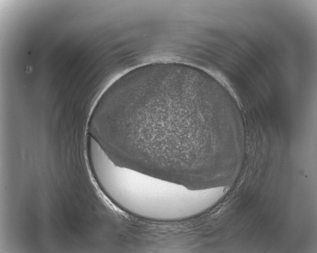 X0000064770903200602241949