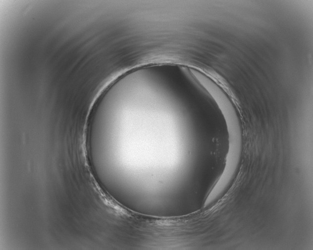 X0000064770904200602241949