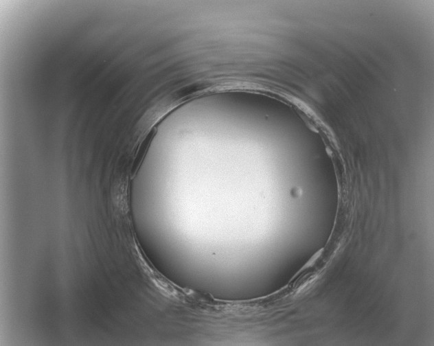 X0000064770905200602241949