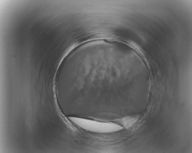 X0000064770907200602241949