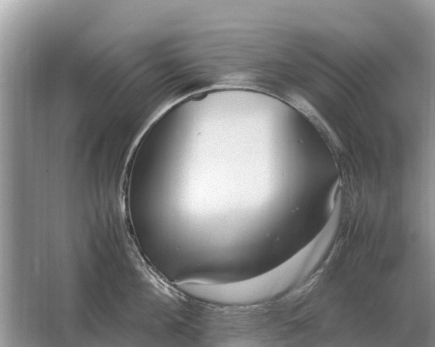 X0000064770908200602241949