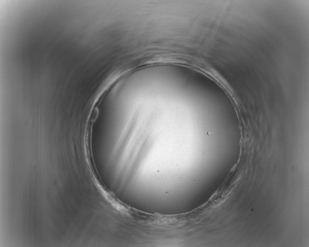 X0000064770909200602241949