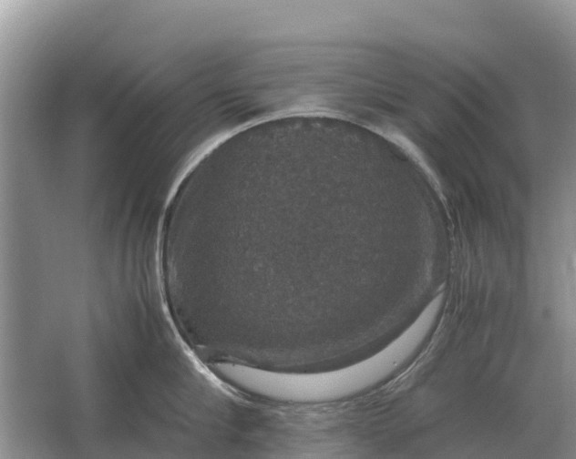 X0000064770910200602241949