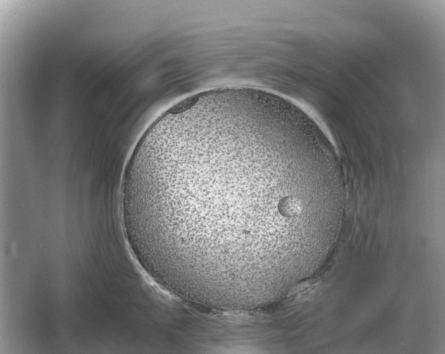 X0000064770911200602241949