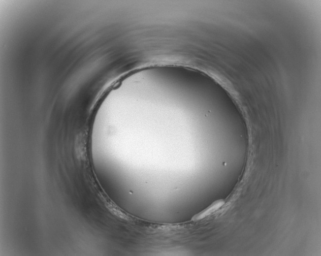 X0000064770912200602241949