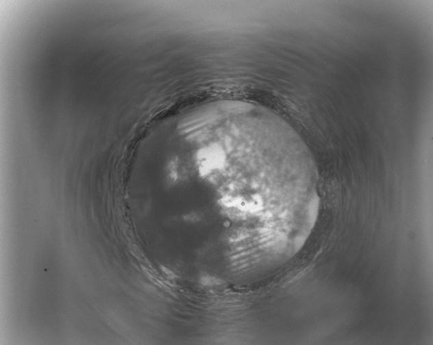 X0000064770913200602241947