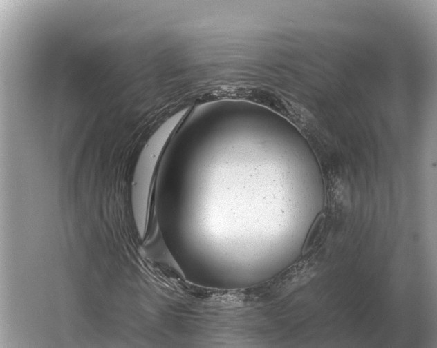 X0000064770914200602241947