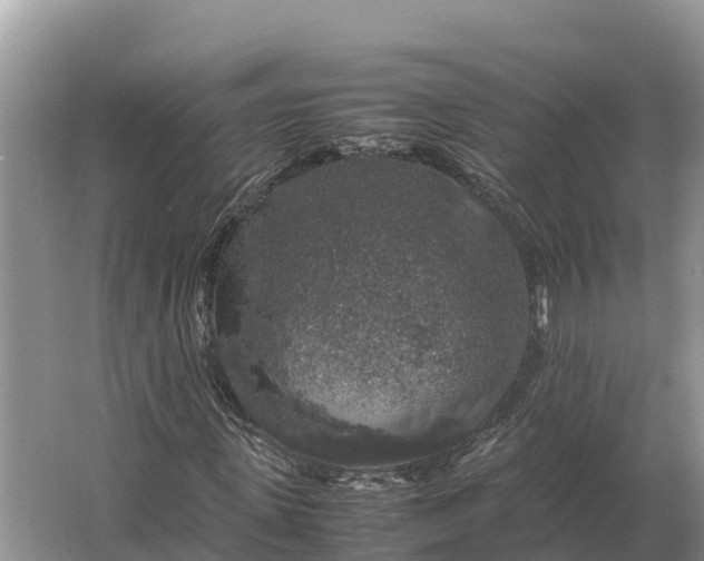 X0000064770915200602241948