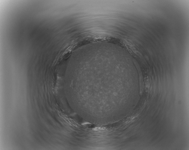 X0000064770916200602241948