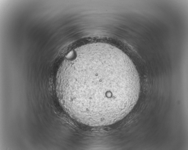 X0000064770918200602241948