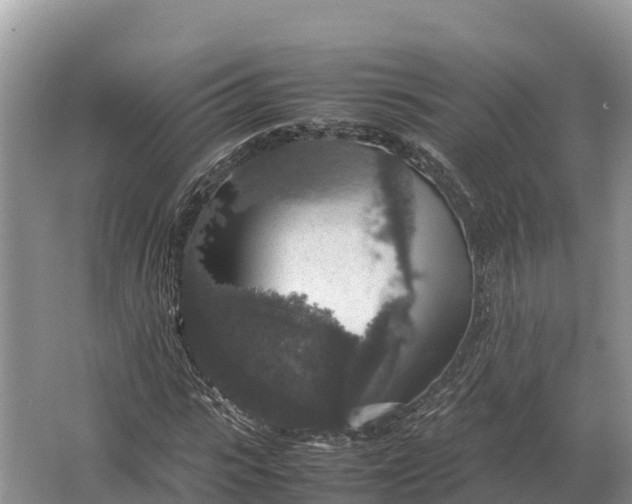 X0000064770919200602241948