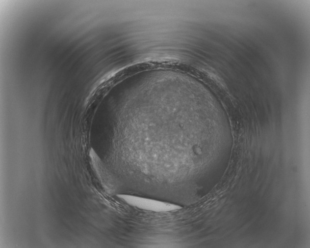 X0000064770920200602241948