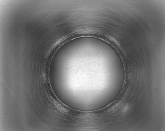 X0000064770922200602241948