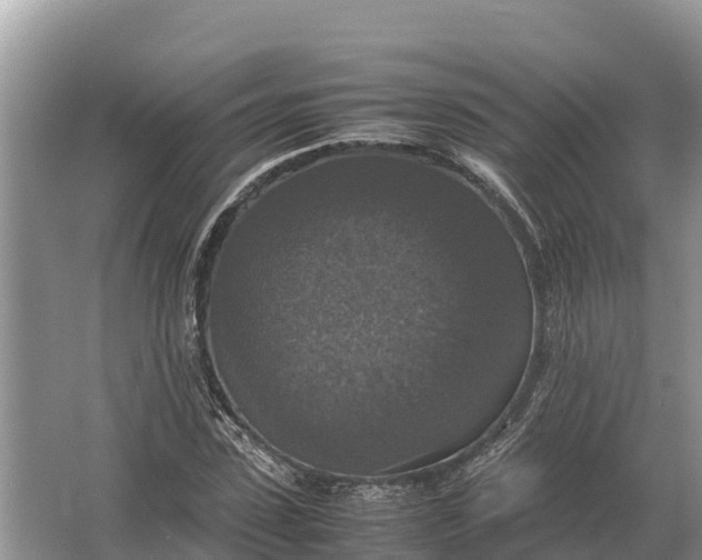 X0000064770923200602241948