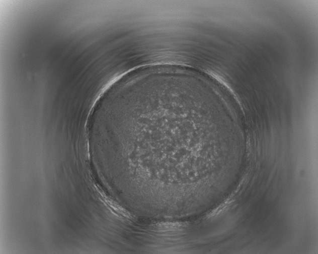 X0000064770925200602241948