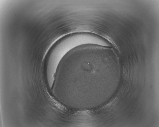 X0000064770926200602241948