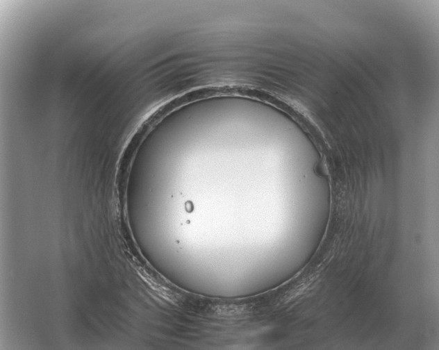 X0000064770927200602241948