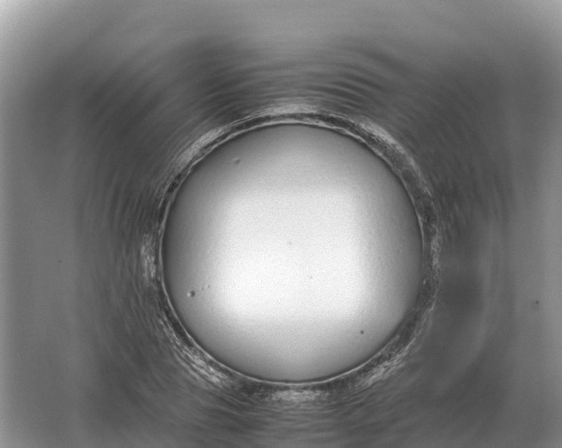 X0000064770929200602241948