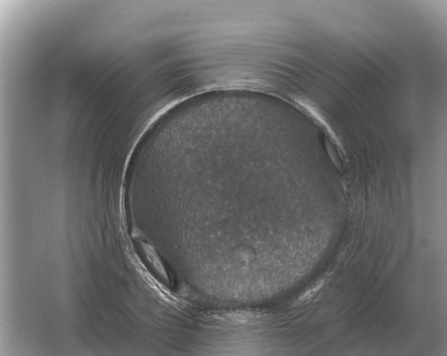 X0000064770932200602241948