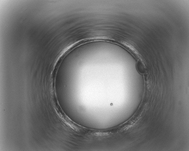 X0000064770933200602241948