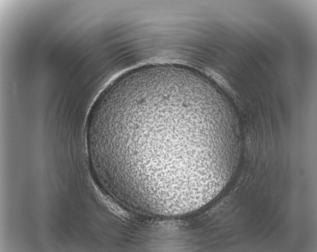 X0000064770934200602241948