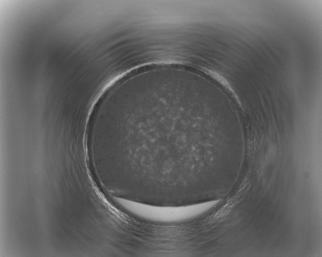 X0000064770935200602241948