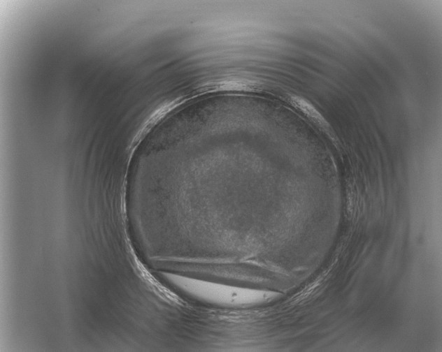 X0000064770938200602241948