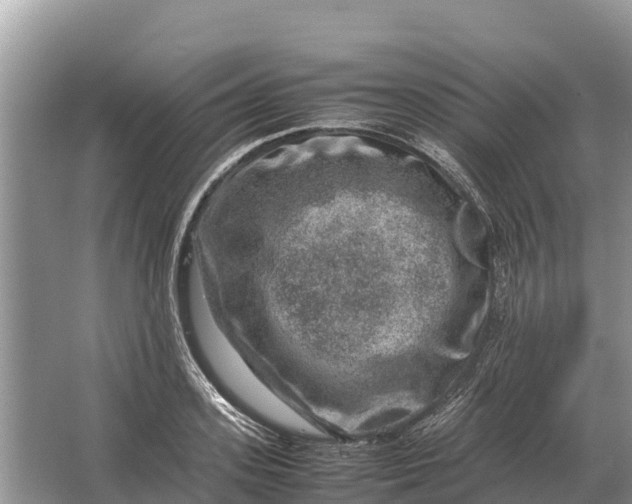 X0000064770939200602241948