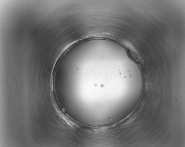 X0000064770940200602241948